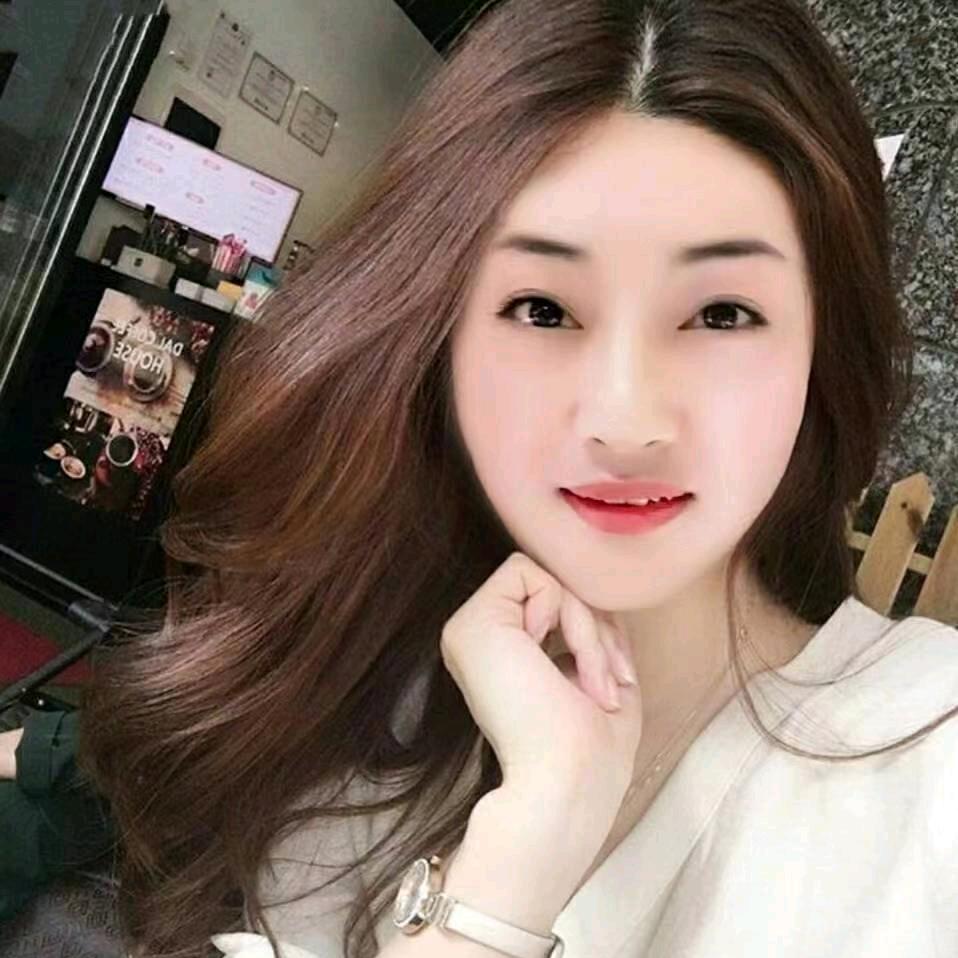 钢琴上的猫