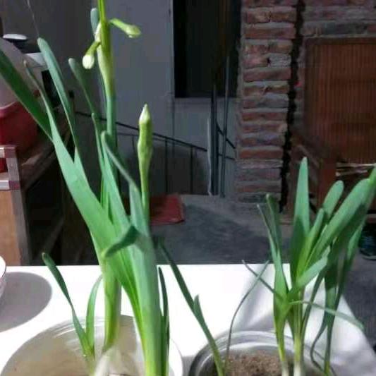 滨哥哥
