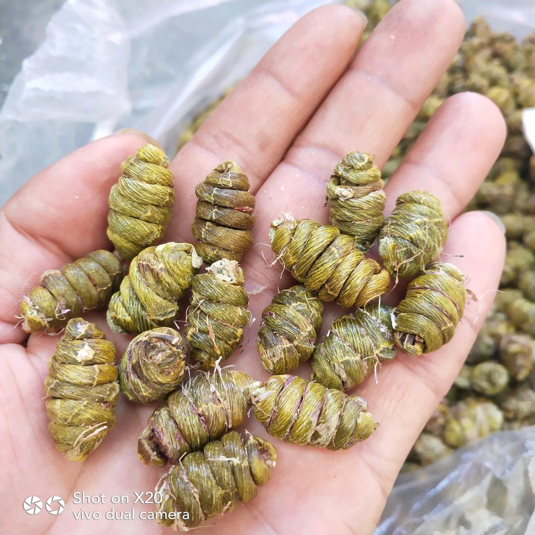 以心交之才能永恒