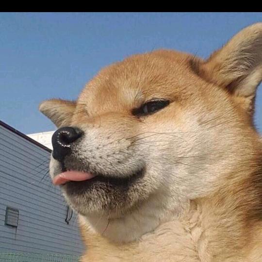 咩咩杨