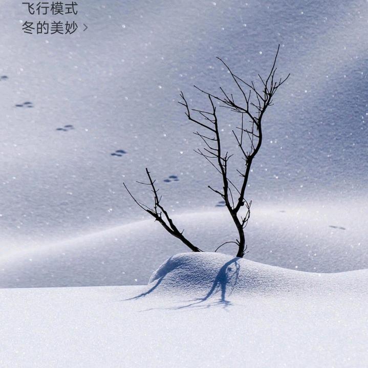 果三数码