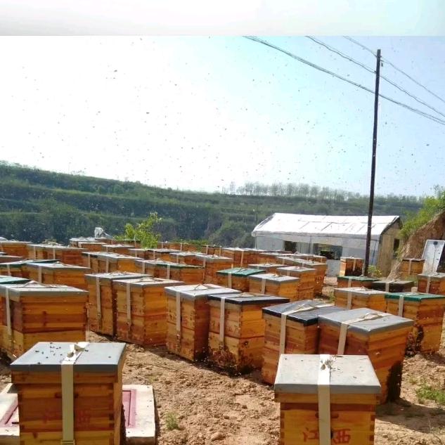东兴蜂场