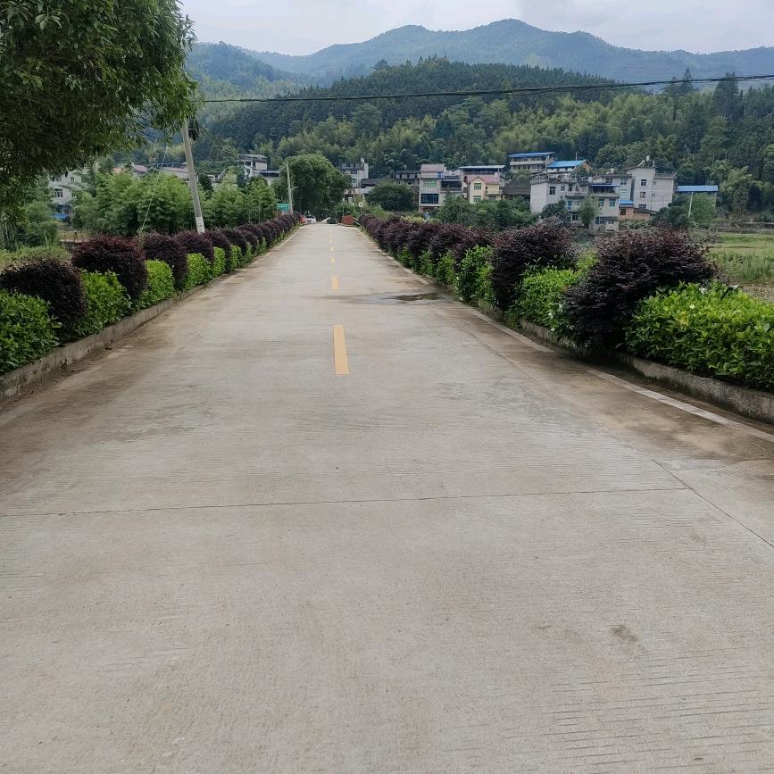 高成生