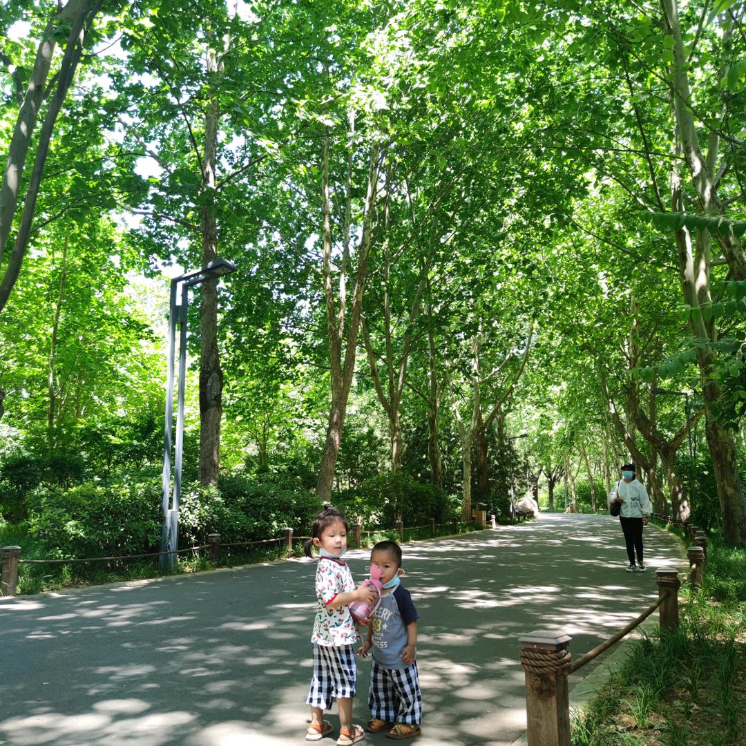 青岛豪朵网络科技有限公司企业店