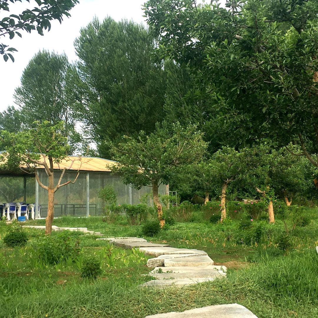 丽裳虹林   园林