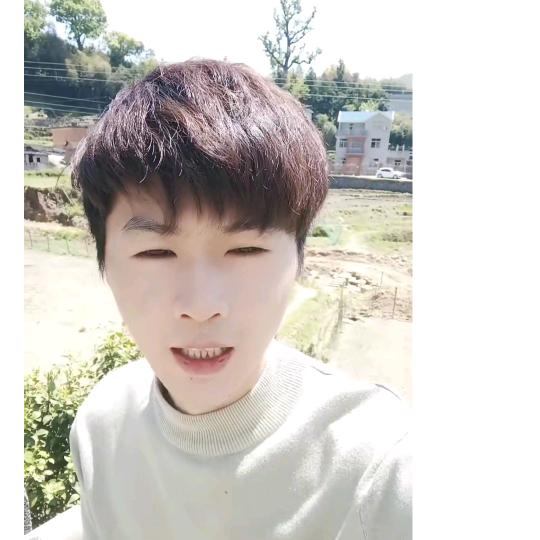 吴氏上厝白茶