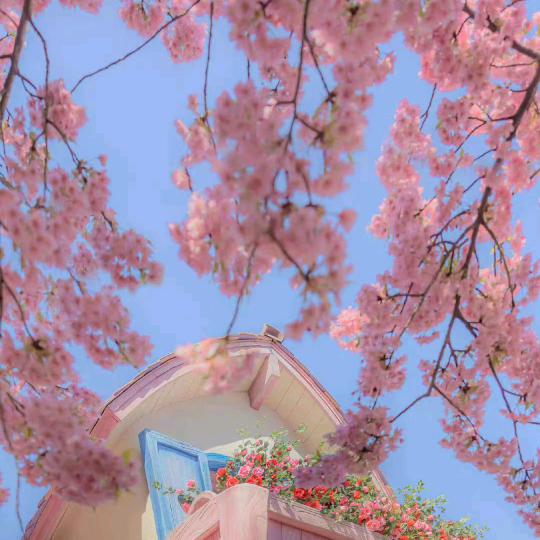 ᭄落້໌ᮨ叶᭄🍂