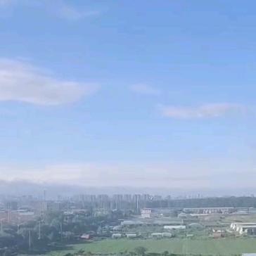 如水人生