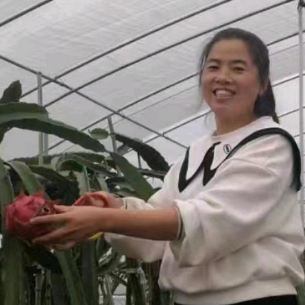 新农人董董