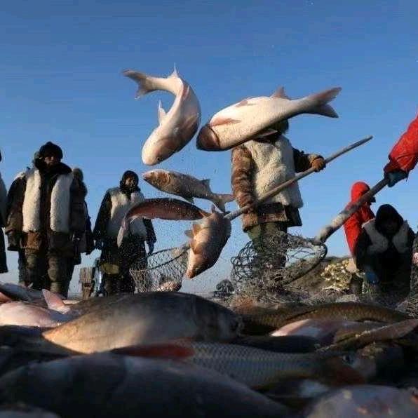查干镇水产品店