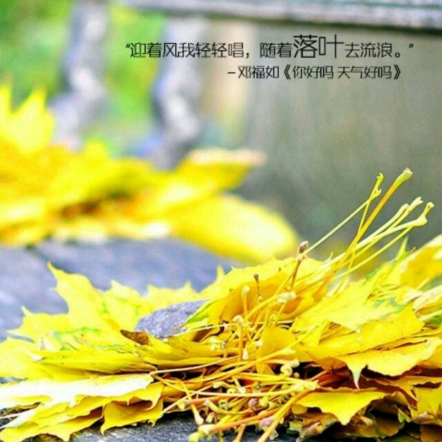 💋微笑💋💋勾起嘴角