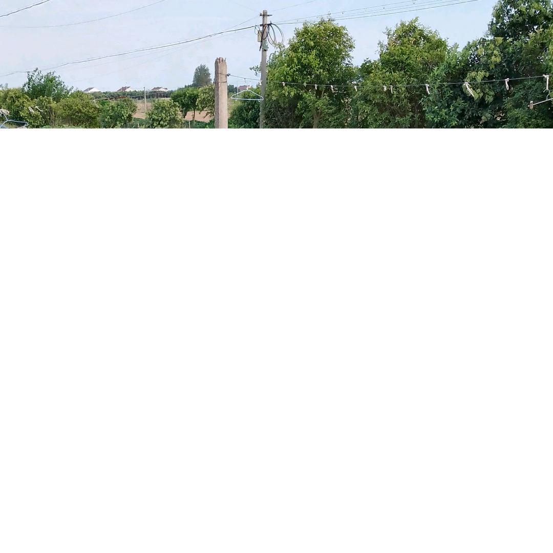 小花