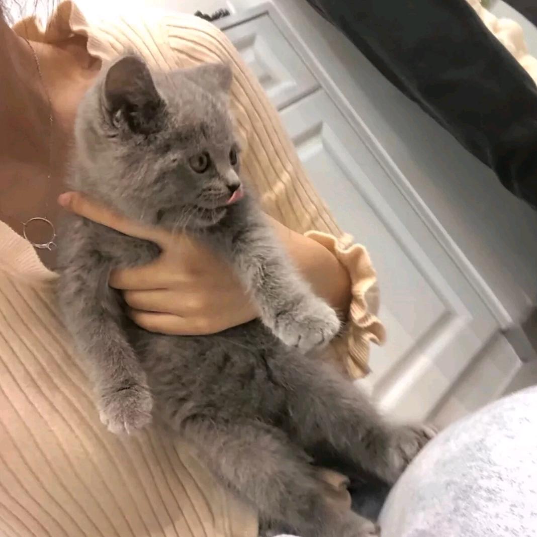 小艺'