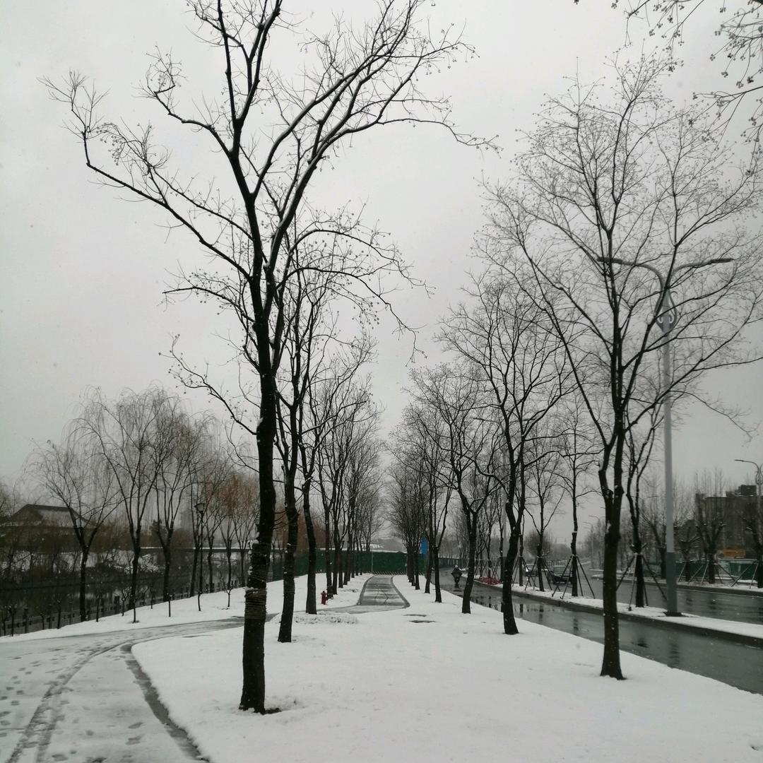 硕果