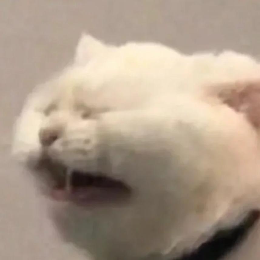 啊巴霸霸
