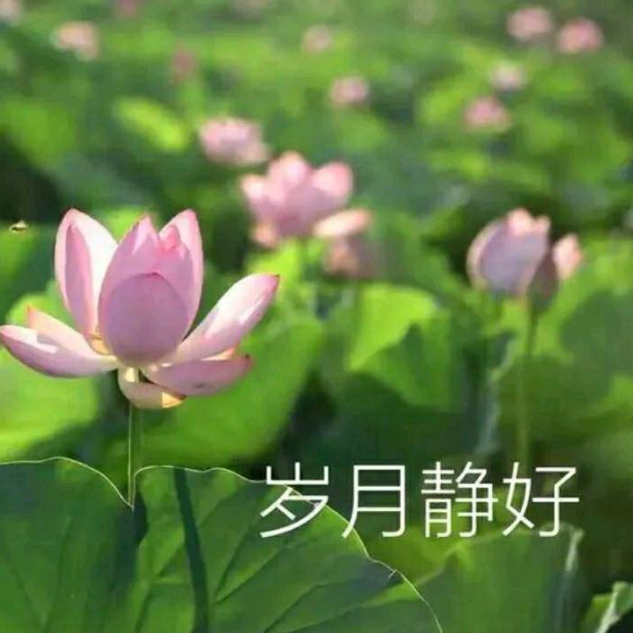 岁月静好`
