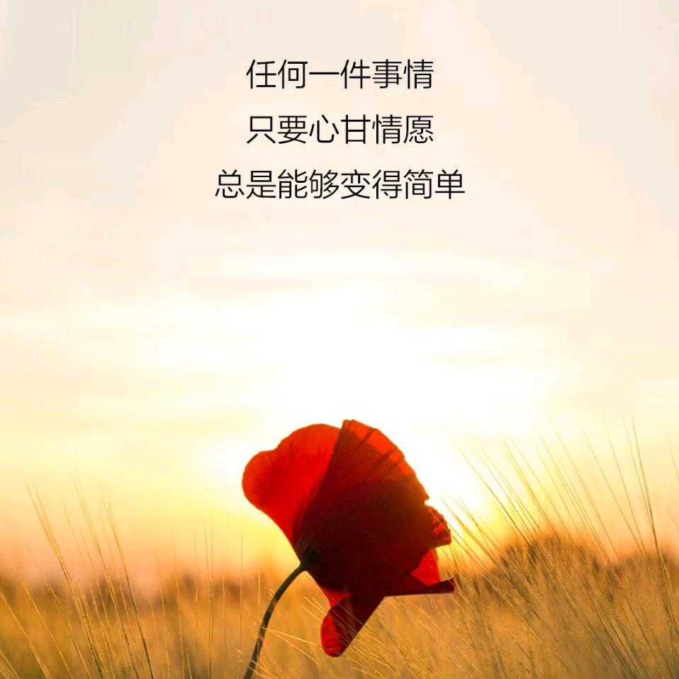 子乔
