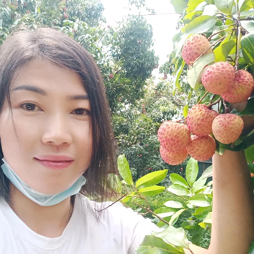 娟子