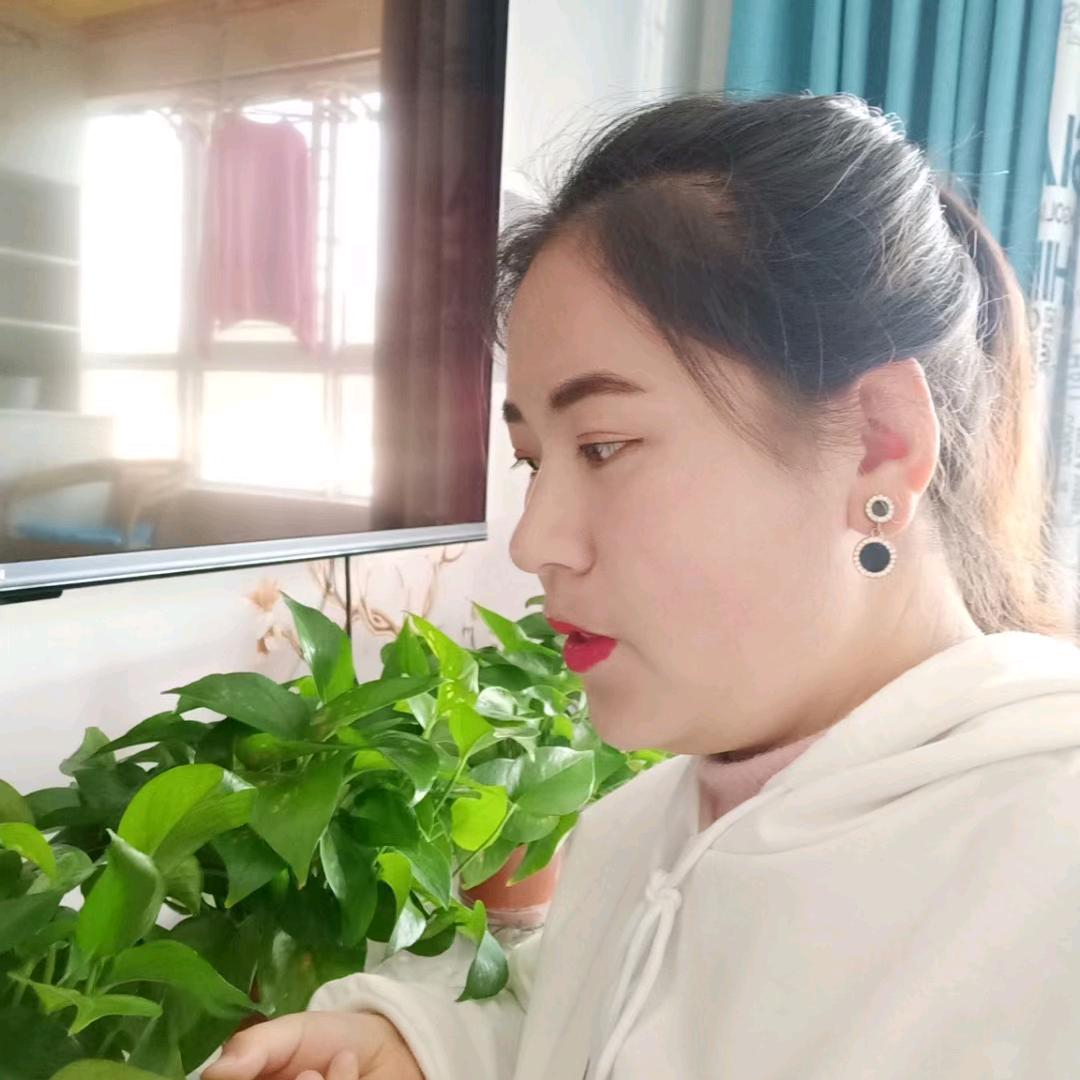 梦不到你的微笑