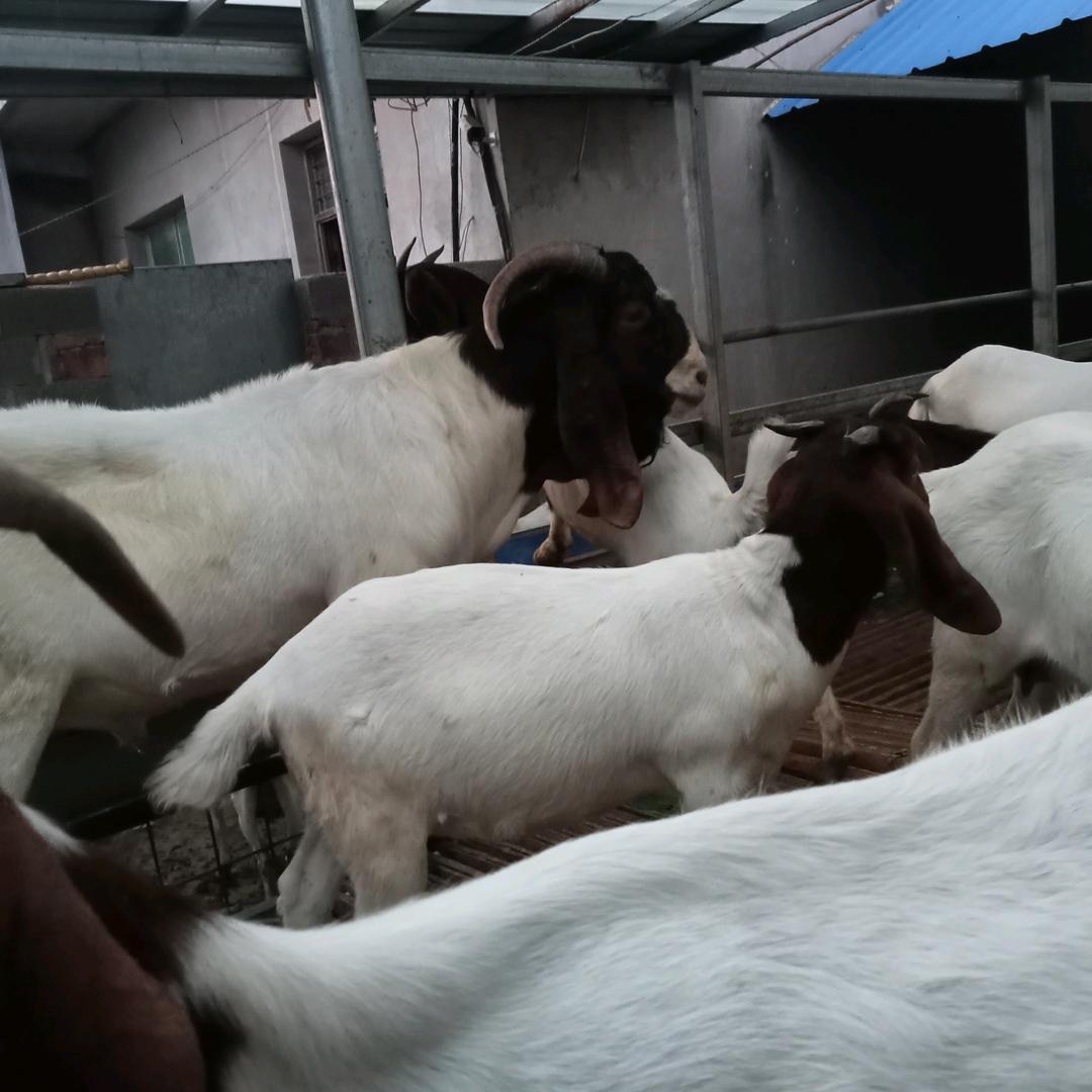 少一些脾气，你会更快乐