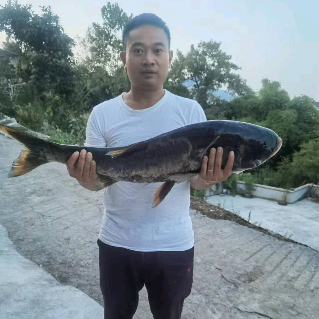 业余爱好