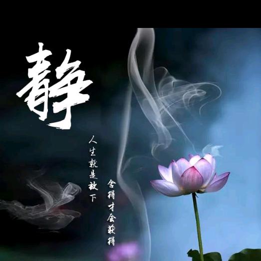 你我都是世间过客