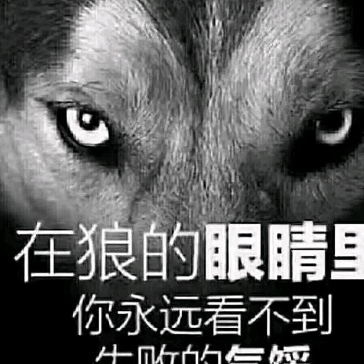 龙飞汽车美容店
