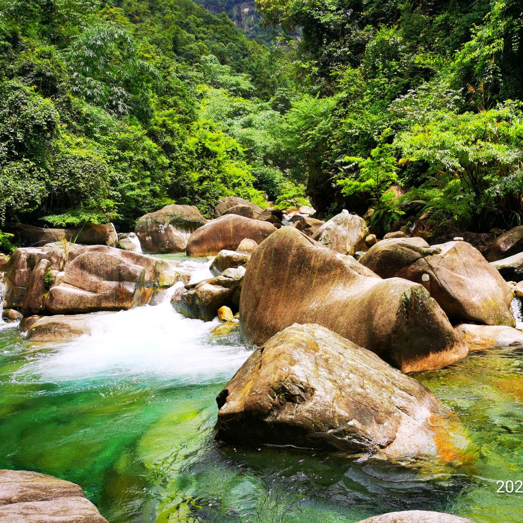 积庆里仙湖如家小舍