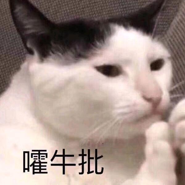 @大饼哥〈夏启〉