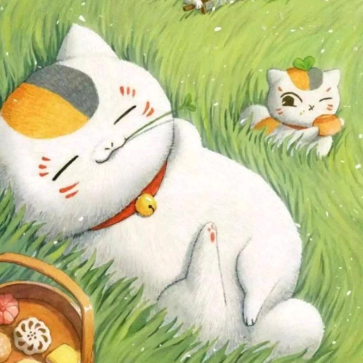 随忆🍀头像