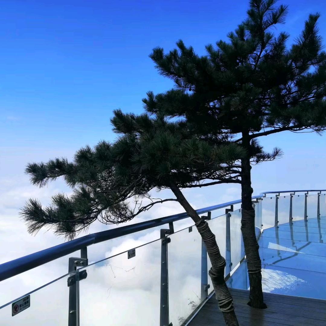 ༄༊࿆亡暮এ᭄