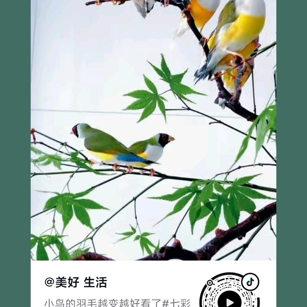 助人为乐