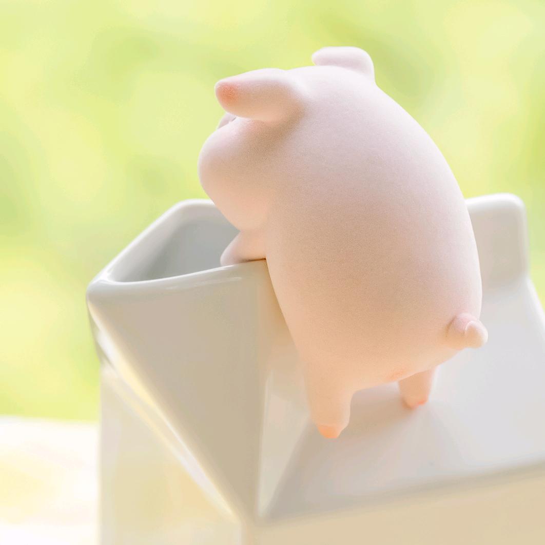 减肥不成功不改名儿