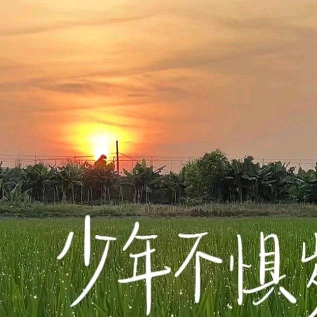 💗杨名💞⃨李万⁵²⁰