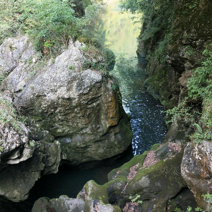 【永卟言败】