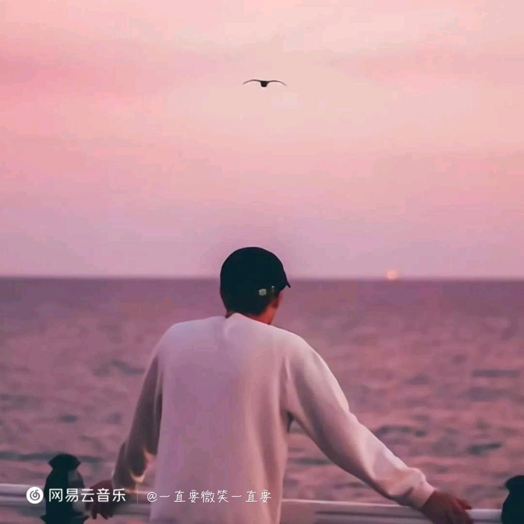 山海皆可平✘