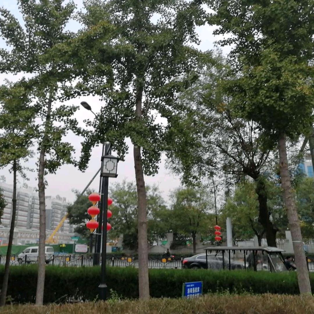 白云