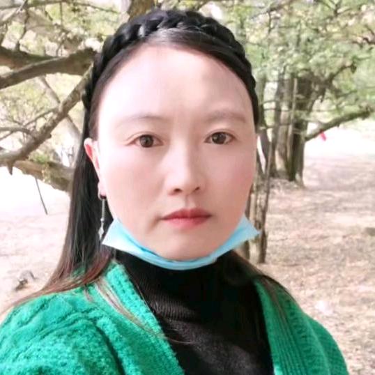 群梅