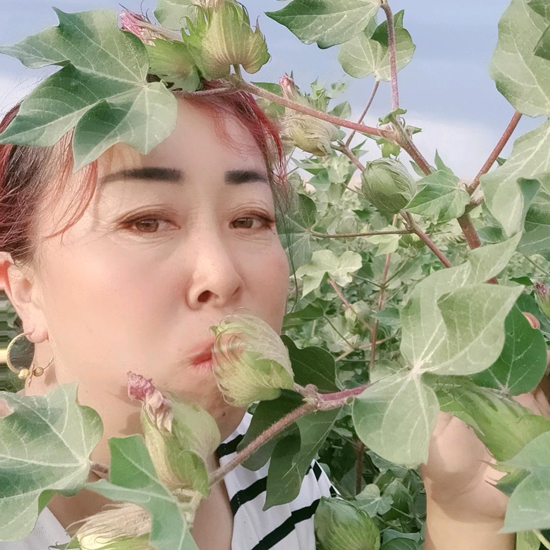 玉梅