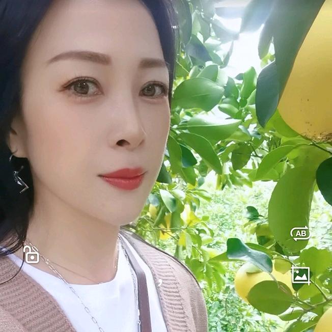 玲大小姐