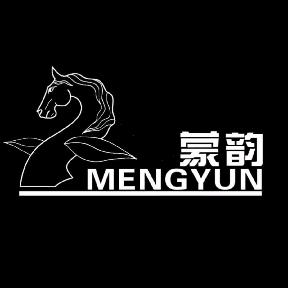 蒙韵马头琴
