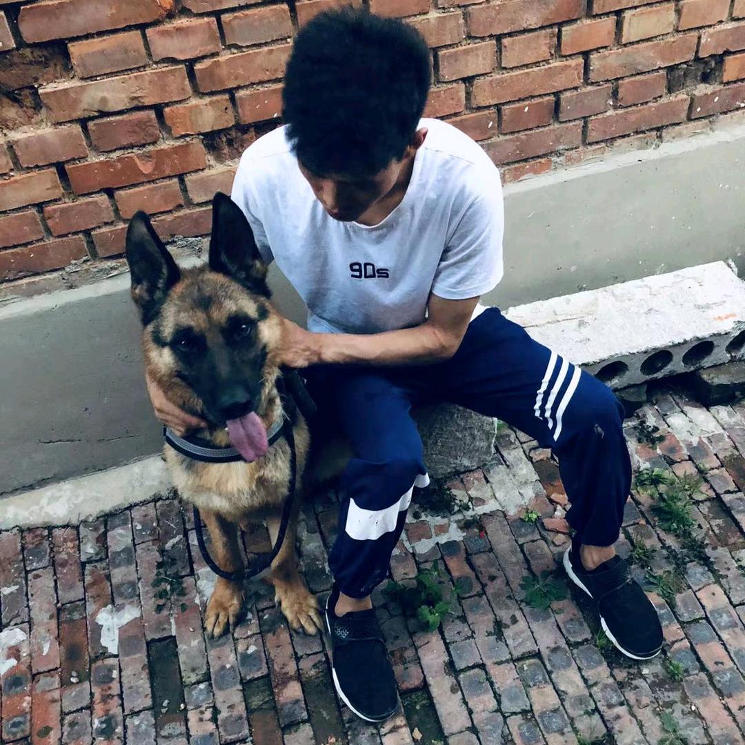 财源广进