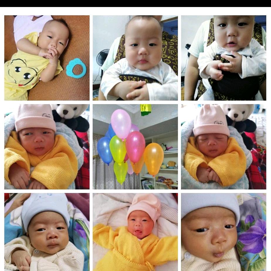 龙的传人       洪思丝