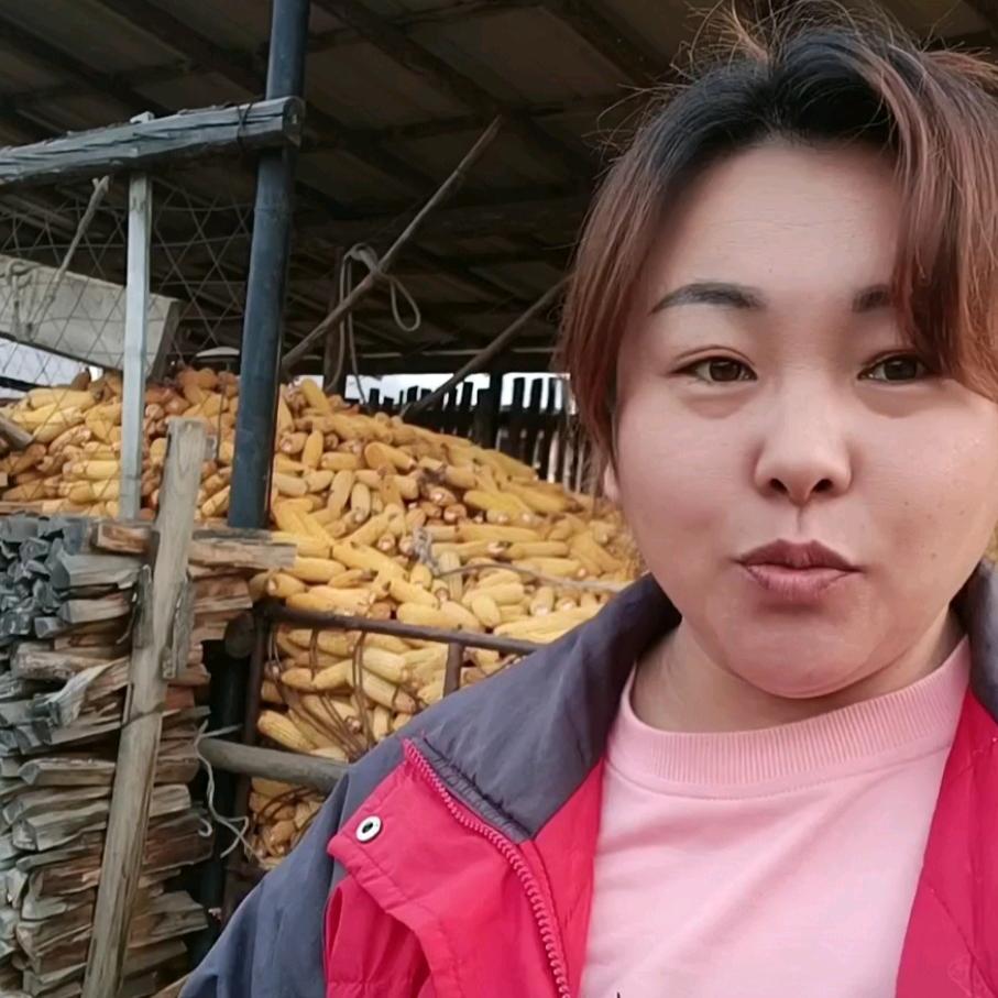 东北波姐