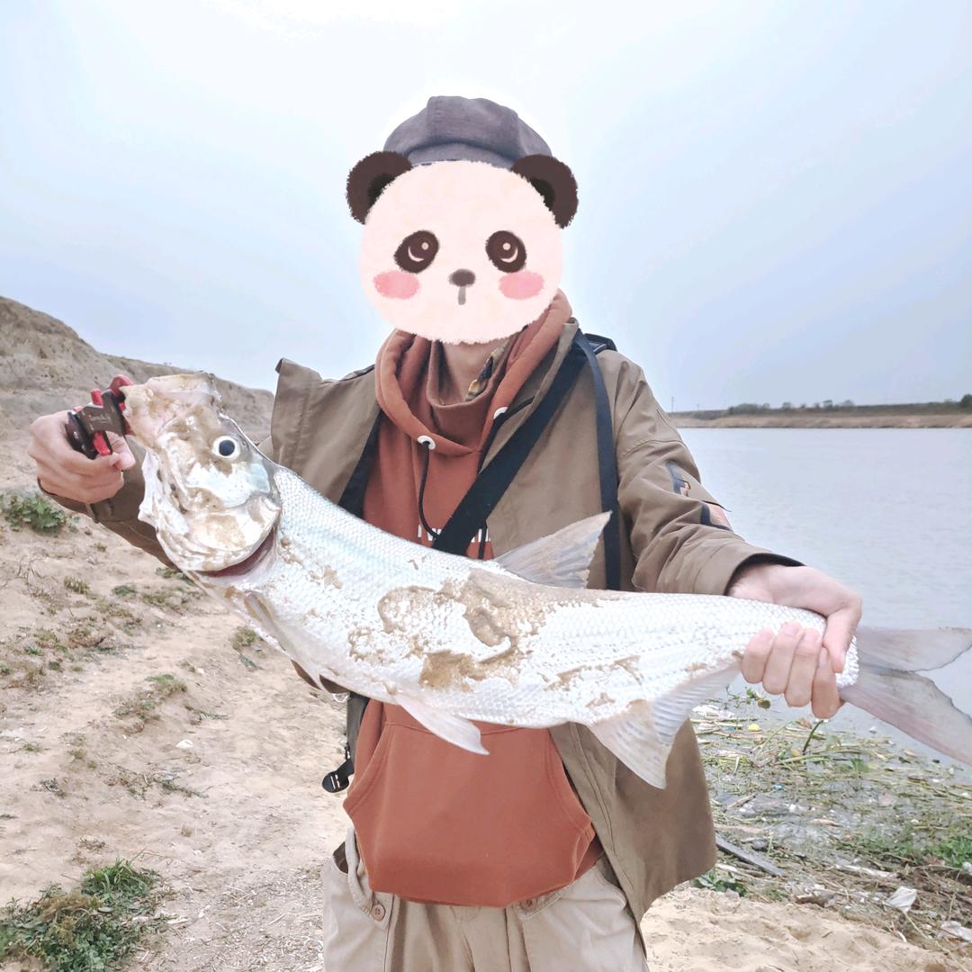 小昕的日常