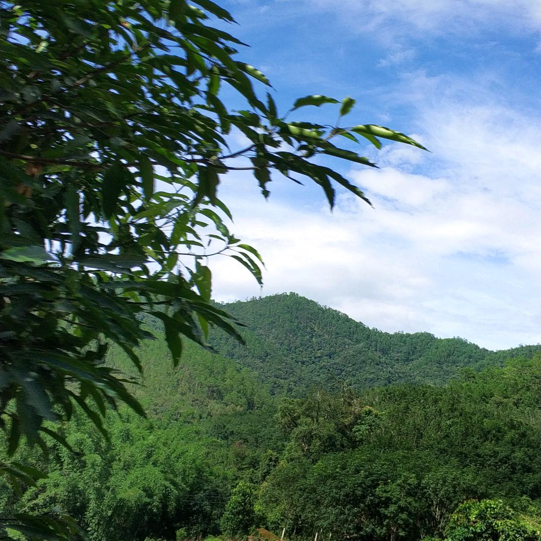 壹片雪花广场舞8L3X1RZ