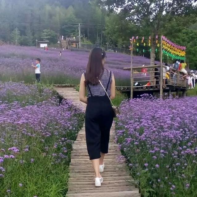夏日的午后