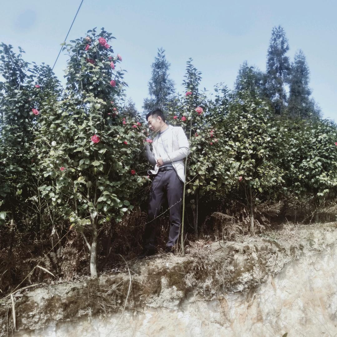 木工杰哥