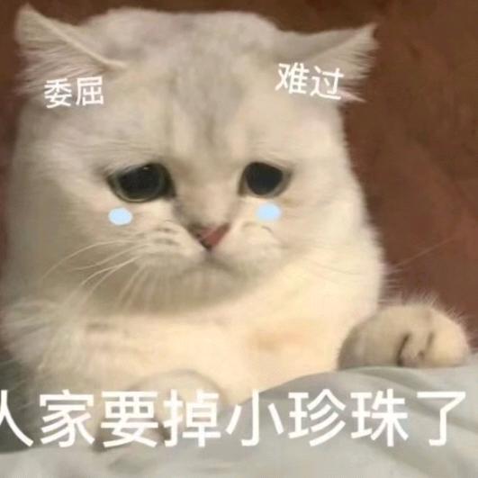 潇洒得蛋仔