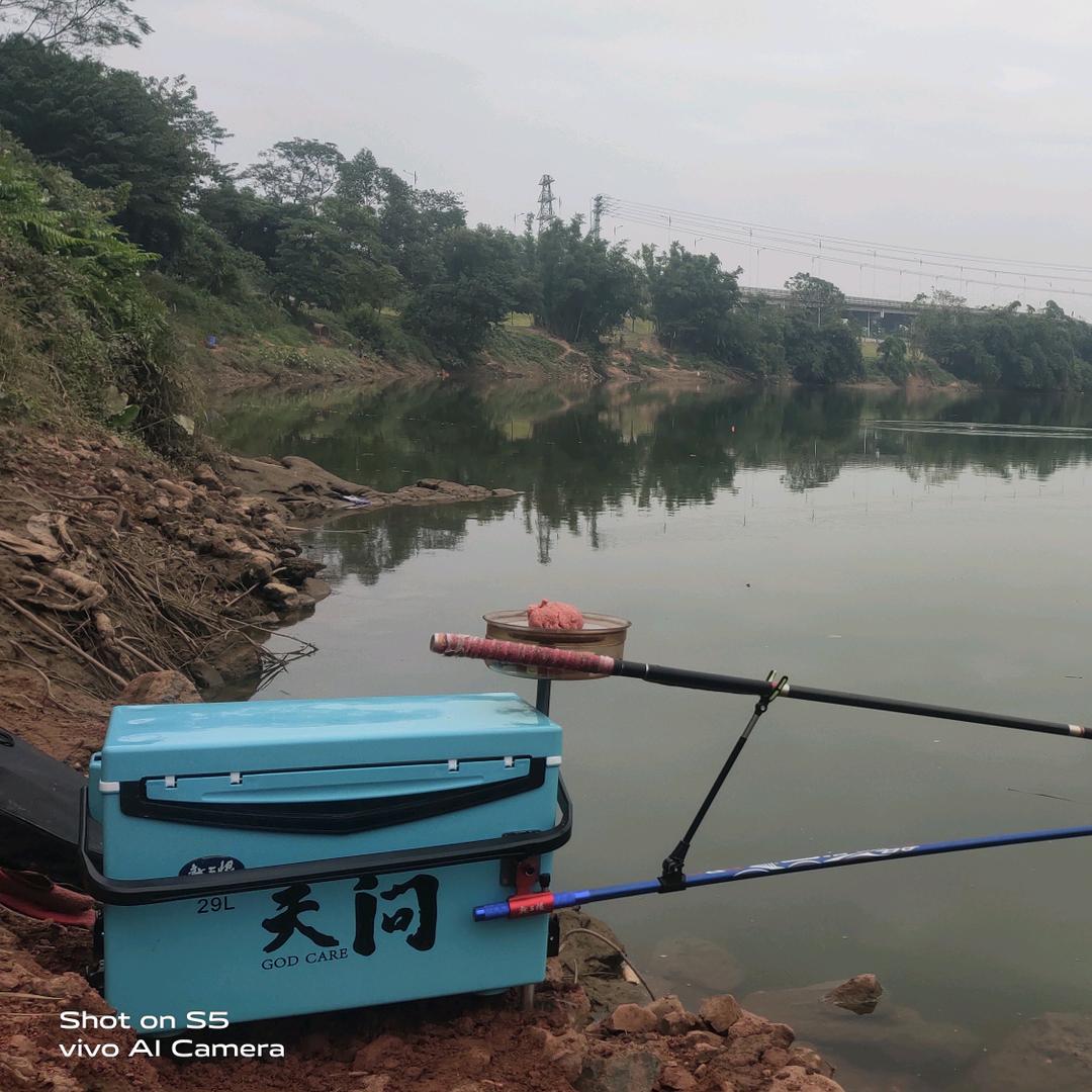 广东野钓局-局长（橱窗有好货）